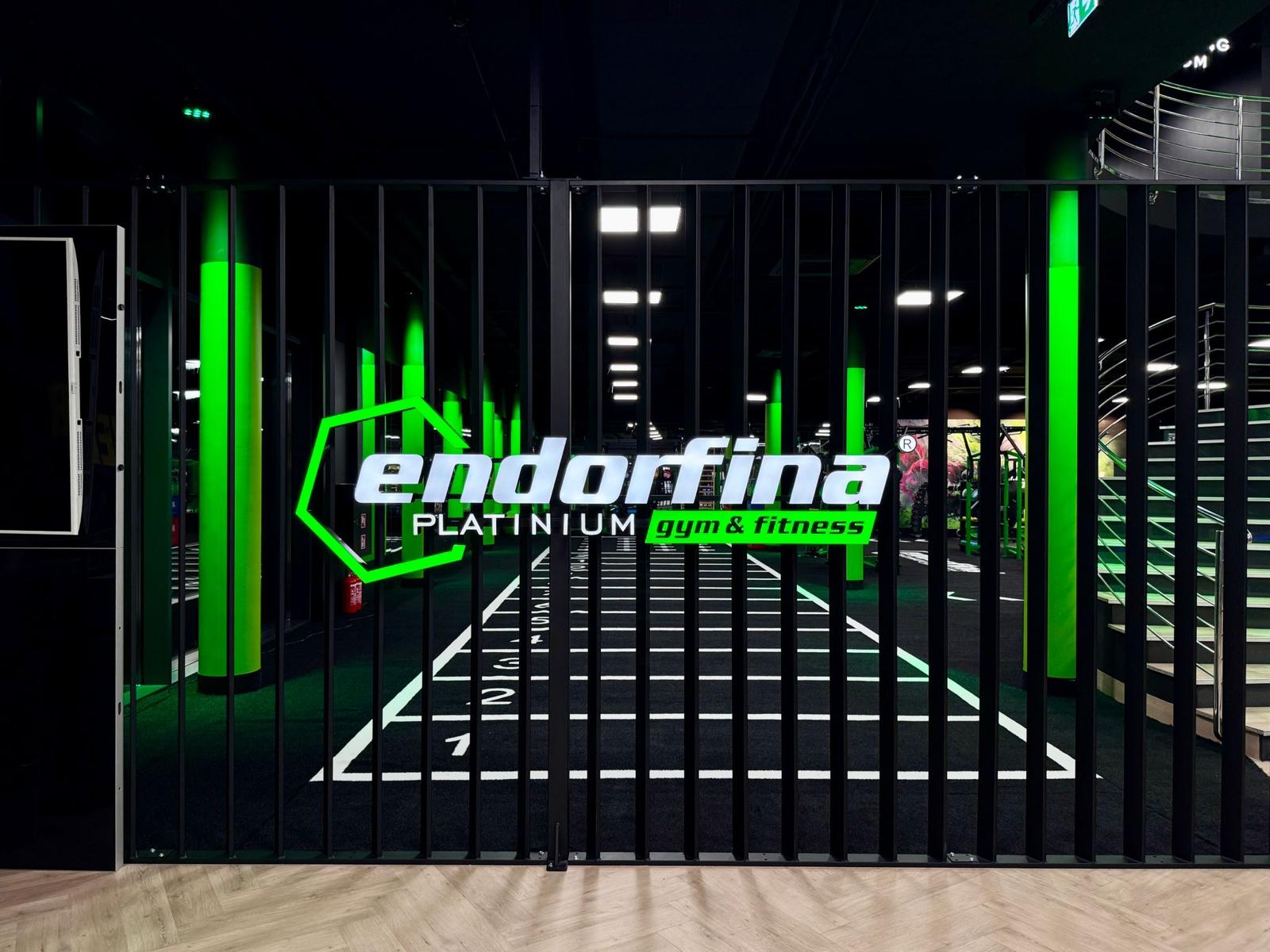 endorfina-multivo (31)